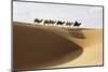 Camel caravan, Badain Jaran Desert, Inner Mongolia, China.-Ellen Anon-Mounted Photographic Print