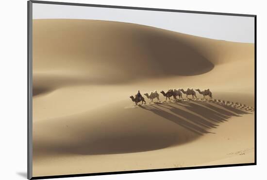 Camel caravan, Badain Jaran Desert, Inner Mongolia, China.-Ellen Anon-Mounted Photographic Print