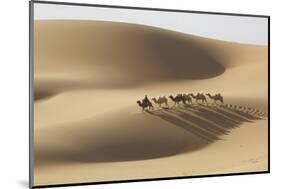 Camel caravan, Badain Jaran Desert, Inner Mongolia, China.-Ellen Anon-Mounted Photographic Print