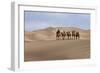 Camel Caravan in the Dunes. Gobi Desert. Mongolia.-Tom Norring-Framed Photographic Print