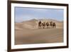 Camel Caravan in the Dunes. Gobi Desert. Mongolia.-Tom Norring-Framed Photographic Print