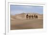 Camel Caravan in the Dunes. Gobi Desert. Mongolia.-Tom Norring-Framed Photographic Print