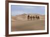 Camel Caravan in the Dunes. Gobi Desert. Mongolia.-Tom Norring-Framed Photographic Print