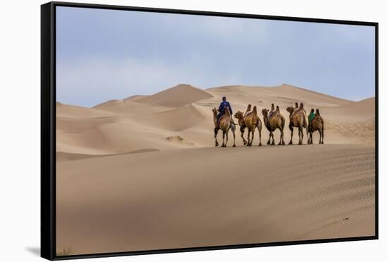 Camel Caravan in the Dunes. Gobi Desert. Mongolia.-Tom Norring-Framed Stretched Canvas