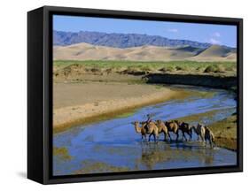 Camel Caravan, Khongoryn Els Dune, Gobi Desert National Park, Omnogov, Mongolia-Bruno Morandi-Framed Stretched Canvas
