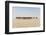 Camel caravan on the Djado Plateau, Sahara, Niger, Africa-Michael Runkel-Framed Photographic Print