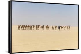 Camel caravan on the Djado Plateau, Sahara, Niger, Africa-Michael Runkel-Framed Stretched Canvas