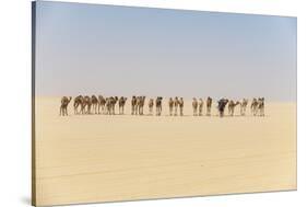 Camel caravan on the Djado Plateau, Sahara, Niger, Africa-Michael Runkel-Stretched Canvas