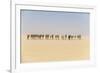 Camel caravan on the Djado Plateau, Sahara, Niger, Africa-Michael Runkel-Framed Photographic Print