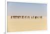 Camel caravan on the Djado Plateau, Sahara, Niger, Africa-Michael Runkel-Framed Photographic Print