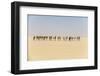 Camel caravan on the Djado Plateau, Sahara, Niger, Africa-Michael Runkel-Framed Photographic Print