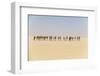 Camel caravan on the Djado Plateau, Sahara, Niger, Africa-Michael Runkel-Framed Photographic Print