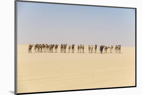 Camel caravan on the Djado Plateau, Sahara, Niger, Africa-Michael Runkel-Mounted Photographic Print