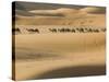 Camel Caravan on the Erg Chebbi Dunes, Merzouga, Tafilalt, Morocco-Walter Bibikow-Stretched Canvas