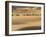 Camel Caravan on the Erg Chebbi Dunes, Merzouga, Tafilalt, Morocco-Walter Bibikow-Framed Photographic Print