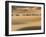 Camel Caravan on the Erg Chebbi Dunes, Merzouga, Tafilalt, Morocco-Walter Bibikow-Framed Photographic Print