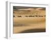 Camel Caravan on the Erg Chebbi Dunes, Merzouga, Tafilalt, Morocco-Walter Bibikow-Framed Photographic Print