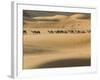 Camel Caravan on the Erg Chebbi Dunes, Merzouga, Tafilalt, Morocco-Walter Bibikow-Framed Photographic Print