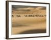 Camel Caravan on the Erg Chebbi Dunes, Merzouga, Tafilalt, Morocco-Walter Bibikow-Framed Photographic Print