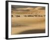 Camel Caravan on the Erg Chebbi Dunes, Merzouga, Tafilalt, Morocco-Walter Bibikow-Framed Photographic Print