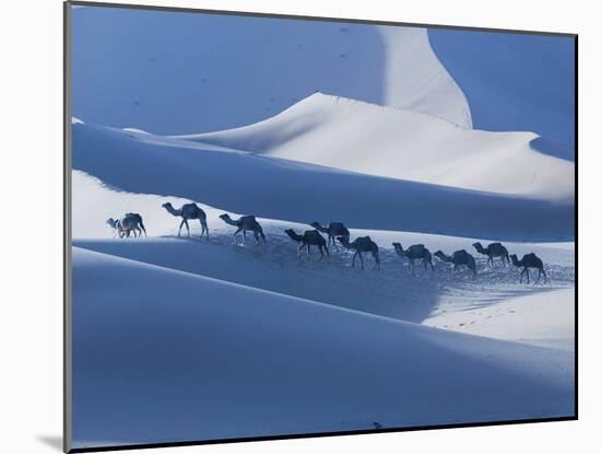 Camel Caravan on the Erg Chebbi Dunes, Merzouga, Tafilalt, Morocco-Walter Bibikow-Mounted Photographic Print