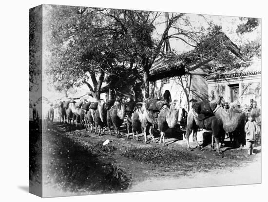 Camel Caravan on the Outskirts of Peking, C.1875-null-Stretched Canvas