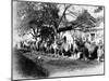 Camel Caravan on the Outskirts of Peking, C.1875-null-Mounted Premium Photographic Print