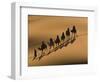 Camel Caravan Riding Through the Sand Dunes of Merzouga, Morocco, North Africa, Africa-Michael Runkel-Framed Photographic Print