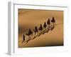 Camel Caravan Riding Through the Sand Dunes of Merzouga, Morocco, North Africa, Africa-Michael Runkel-Framed Photographic Print