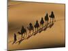 Camel Caravan Riding Through the Sand Dunes of Merzouga, Morocco, North Africa, Africa-Michael Runkel-Mounted Photographic Print