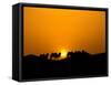 Camel Caravan Silhouette at Dawn, Silk Road, China-Keren Su-Framed Stretched Canvas