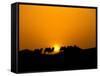 Camel Caravan Silhouette at Dawn, Silk Road, China-Keren Su-Framed Stretched Canvas