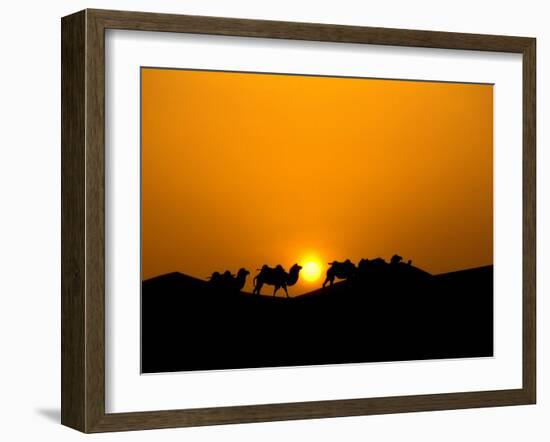 Camel Caravan Silhouette at Dawn, Silk Road, China-Keren Su-Framed Premium Photographic Print