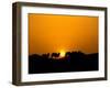 Camel Caravan Silhouette at Dawn, Silk Road, China-Keren Su-Framed Premium Photographic Print