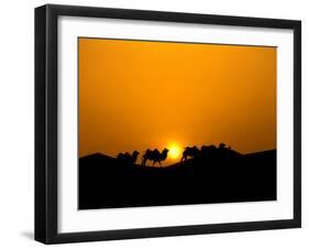 Camel Caravan Silhouette at Dawn, Silk Road, China-Keren Su-Framed Premium Photographic Print