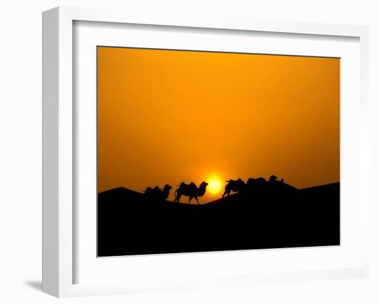 Camel Caravan Silhouette at Dawn, Silk Road, China-Keren Su-Framed Premium Photographic Print