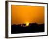 Camel Caravan Silhouette at Dawn, Silk Road, China-Keren Su-Framed Photographic Print