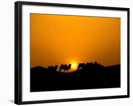 Camel Caravan Silhouette at Dawn, Silk Road, China-Keren Su-Framed Photographic Print