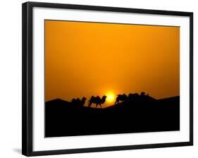 Camel Caravan Silhouette at Dawn, Silk Road, China-Keren Su-Framed Photographic Print