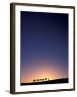 Camel Caravan Silhouette at Dawn, Silk Road, China-Keren Su-Framed Premium Photographic Print