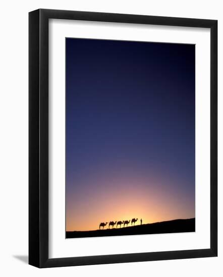 Camel Caravan Silhouette at Dawn, Silk Road, China-Keren Su-Framed Photographic Print