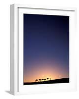 Camel Caravan Silhouette at Dawn, Silk Road, China-Keren Su-Framed Photographic Print