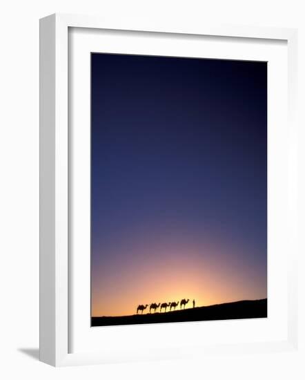 Camel Caravan Silhouette at Dawn, Silk Road, China-Keren Su-Framed Photographic Print