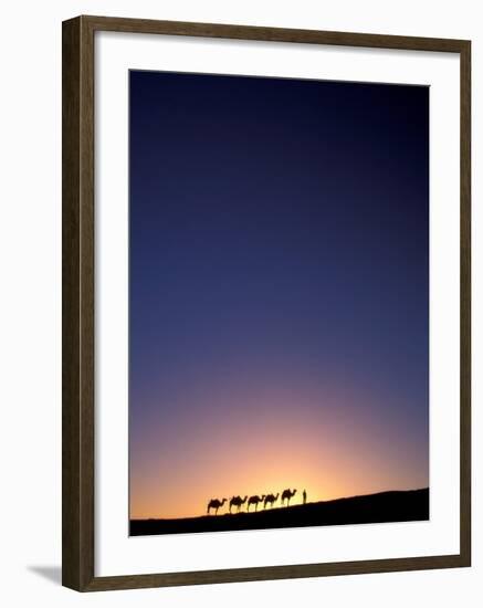 Camel Caravan Silhouette at Dawn, Silk Road, China-Keren Su-Framed Photographic Print
