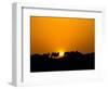 Camel Caravan Silhouette at Dawn, Silk Road, China-Keren Su-Framed Photographic Print