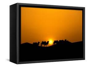 Camel Caravan Silhouette at Dawn, Silk Road, China-Keren Su-Framed Stretched Canvas