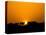 Camel Caravan Silhouette at Dawn, Silk Road, China-Keren Su-Stretched Canvas