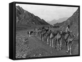 Camel Caravan-null-Framed Stretched Canvas