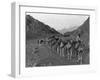 Camel Caravan-null-Framed Photographic Print