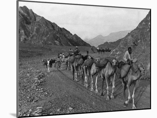 Camel Caravan-null-Mounted Photographic Print